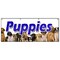 Signmission PUPPIES BANNER SIGN purebred breeder guaranteed cats healthy dogs B-96 Puppies - alternate 1